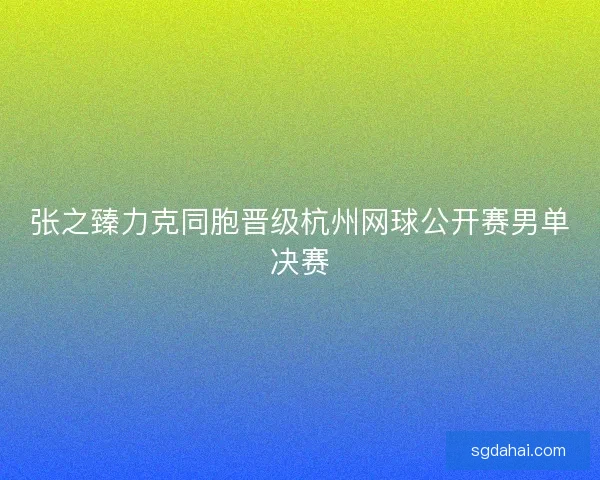 张之臻力克同胞晋级杭州网球公开赛男单决赛