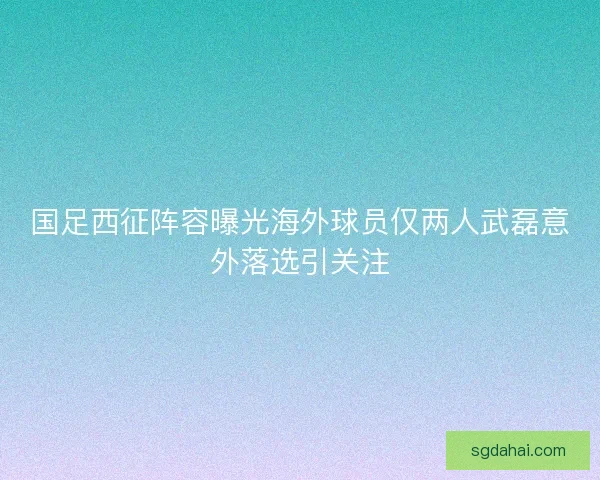 国足西征阵容曝光海外球员仅两人武磊意外落选引关注